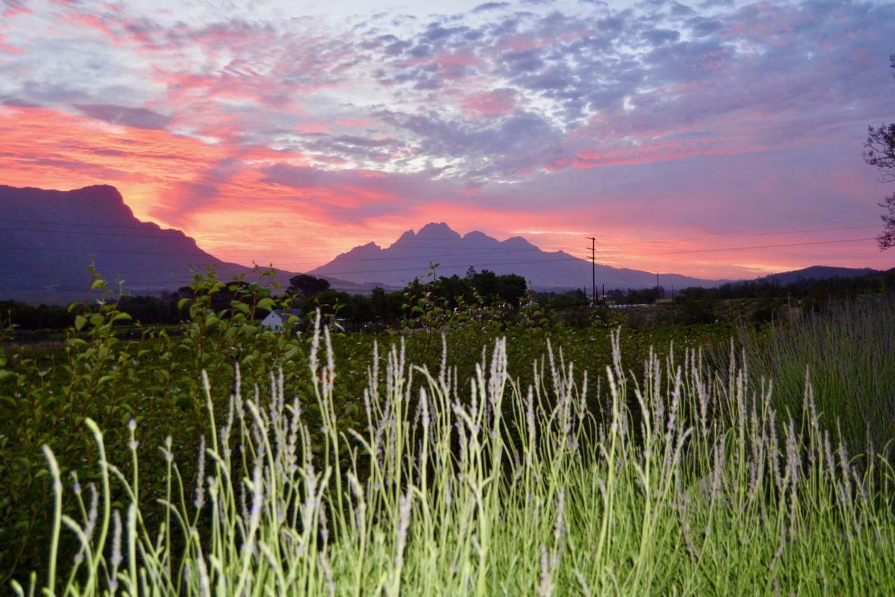 Heuwelsig Cottages Franschhoek Exterior foto